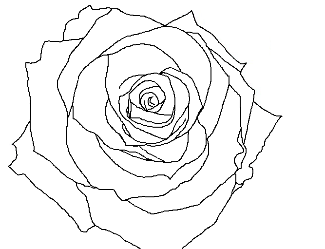 Free Rose Line Drawing, Download Free Rose Line Drawing png images, Free ClipArts on Clipart Library