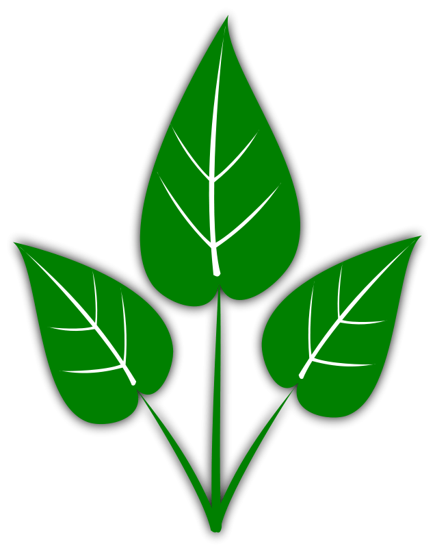 printable brown tree trunk template #3164586