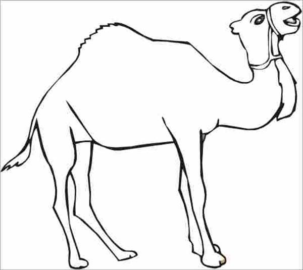Free Camel Pictures To Print, Download Free Camel Pictures To Print png