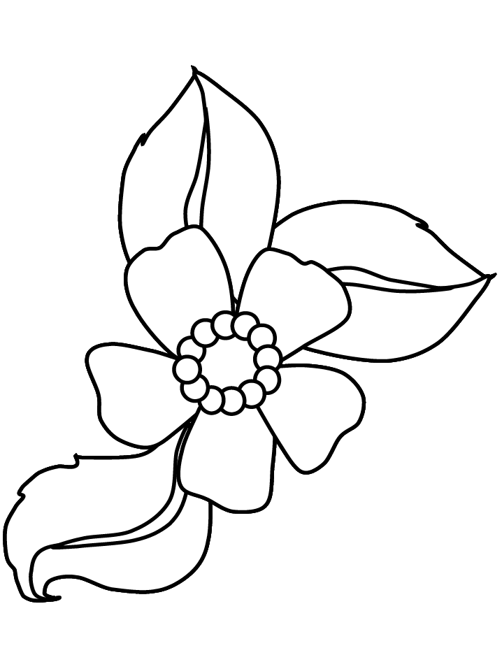 Free Black And White Flower Coloring Page, Download Free Black And