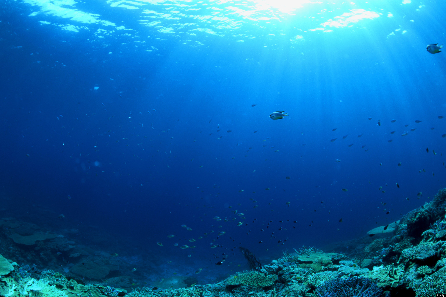 Free Ocean, Download Free Ocean png images, Free ClipArts on Clipart
