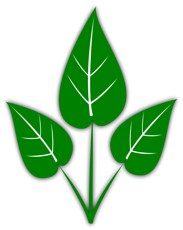 Free Leaf Clip Art Png, Download Free Clip Art, Free Clip Art on