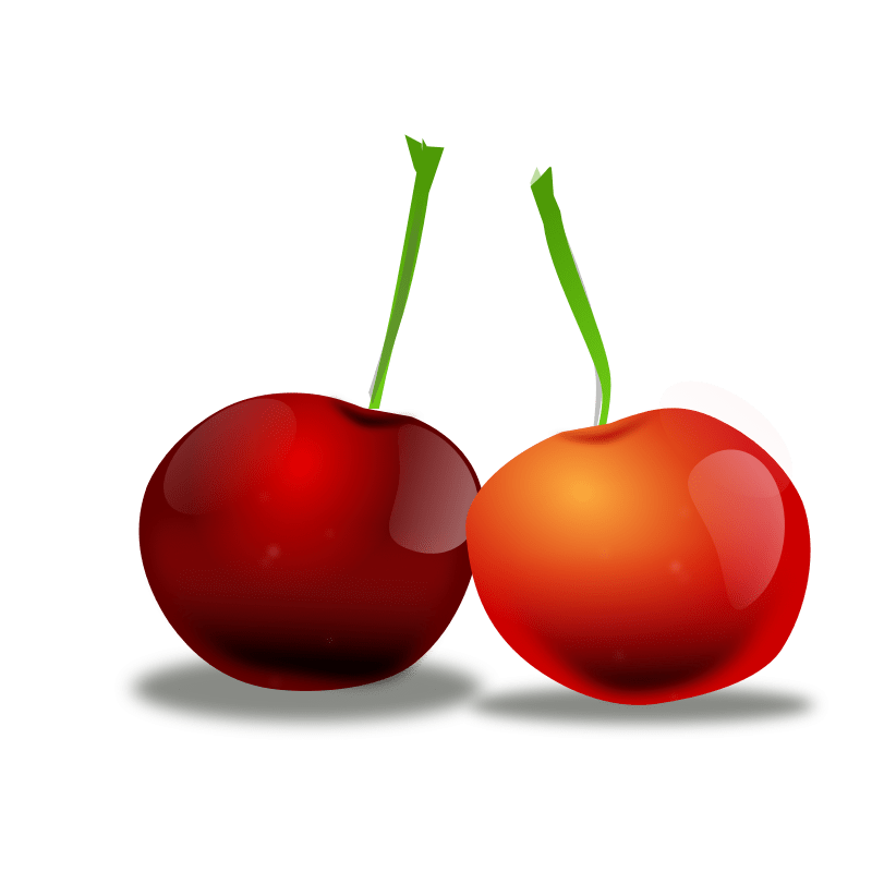 Free Pictures Of Cherries, Download Free Pictures Of Cherries png