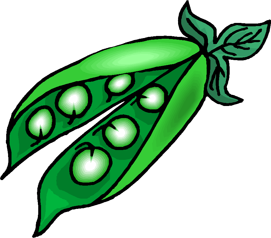Free Pea Pod Picture, Download Free Clip Art, Free Clip Art on Clipart