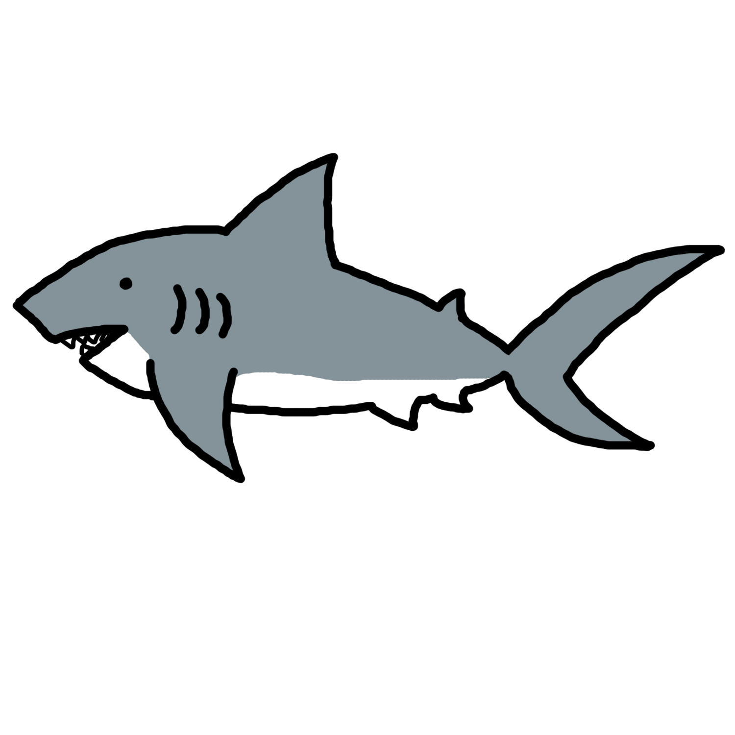 Free Free Shark Images, Download Free Free Shark Images png images