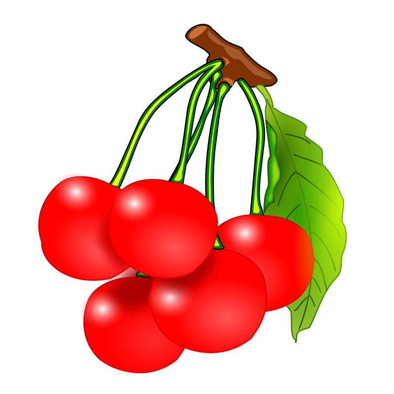 Free Pictures Of Cherries, Download Free Pictures Of Cherries png