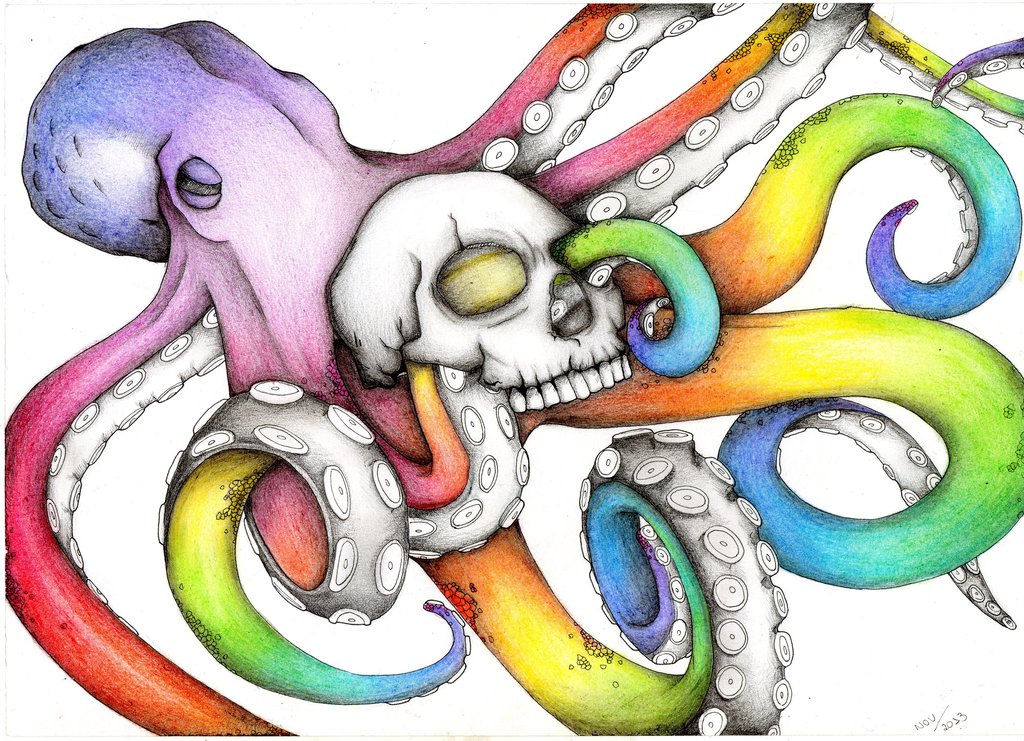 octopus colored pencil drawing Clip Art Library