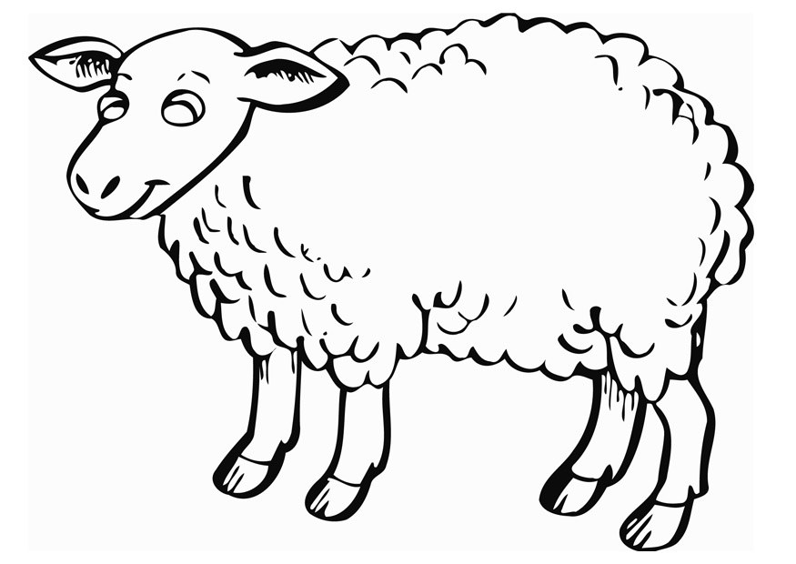 Free Sheep Outline, Download Free Sheep Outline png images, Free
