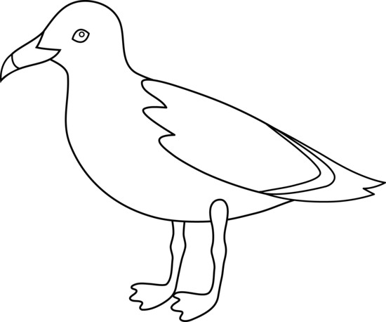 Seagull Outline - Free and Printable Templates for Your Projects