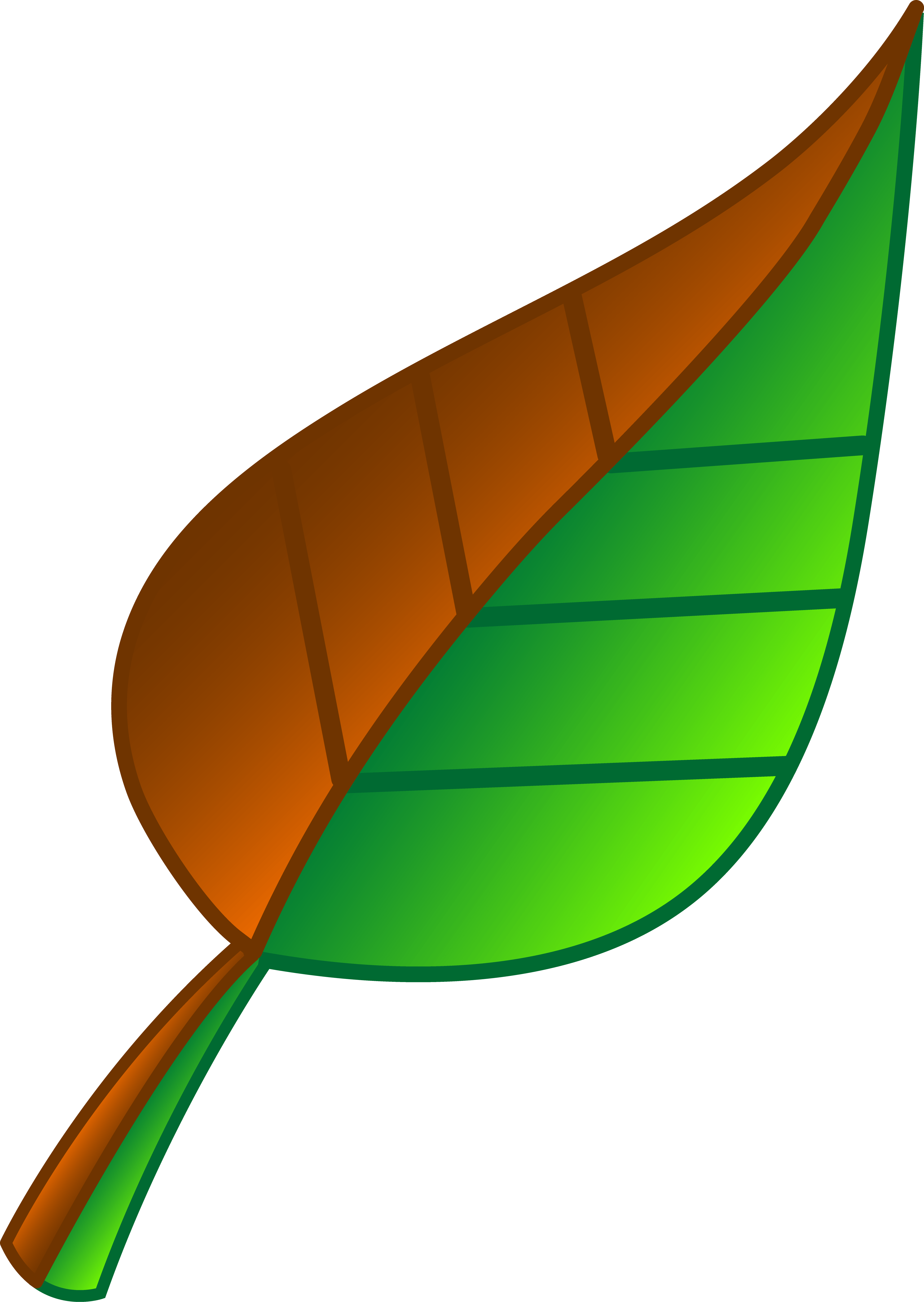 PNG Real Greens Green leaves clip art Bundle Real leaves clipart 18 PNG