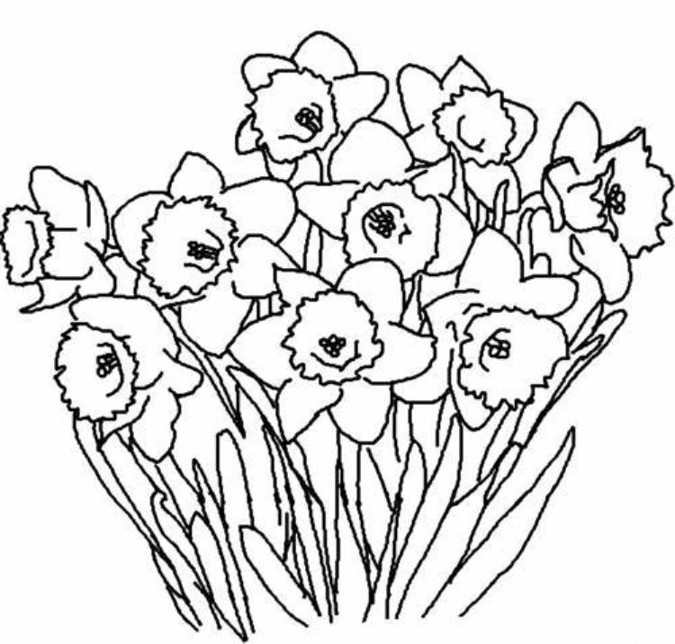 Free Drawing Of Spring Flowers, Download Free Drawing Of Spring Flowers