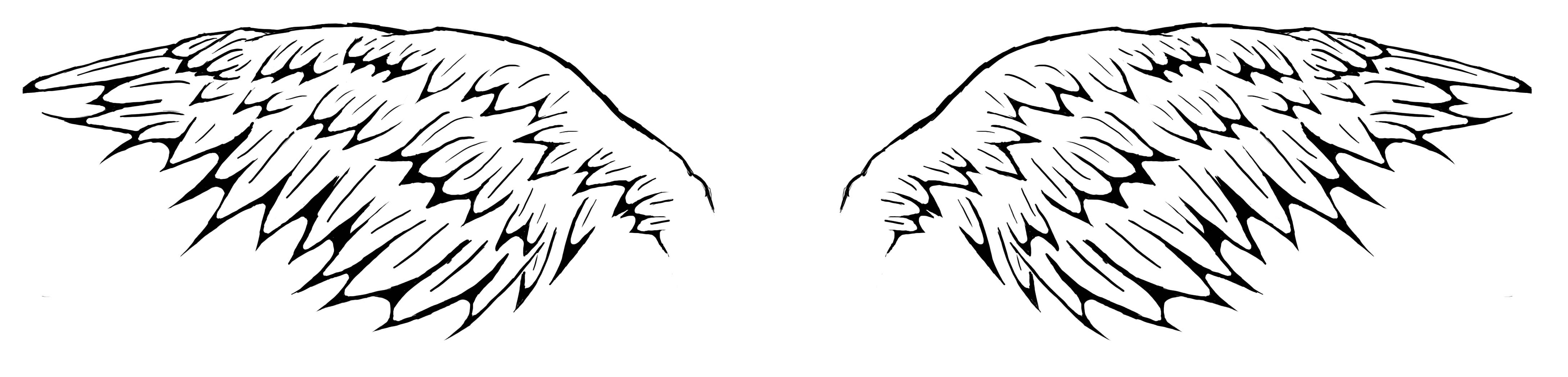 Free Drawings Of Angel Wings, Download Free Drawings Of Angel Wings Png Images, Free Cliparts On Clipart Library 1047_x_4357_jpg