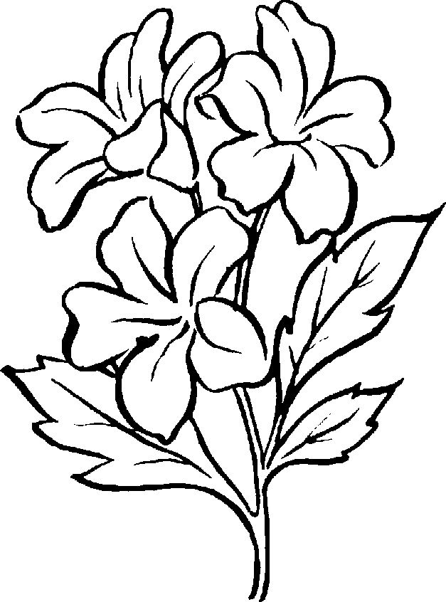 Free Black And White Plant, Download Free Black And White Plant png