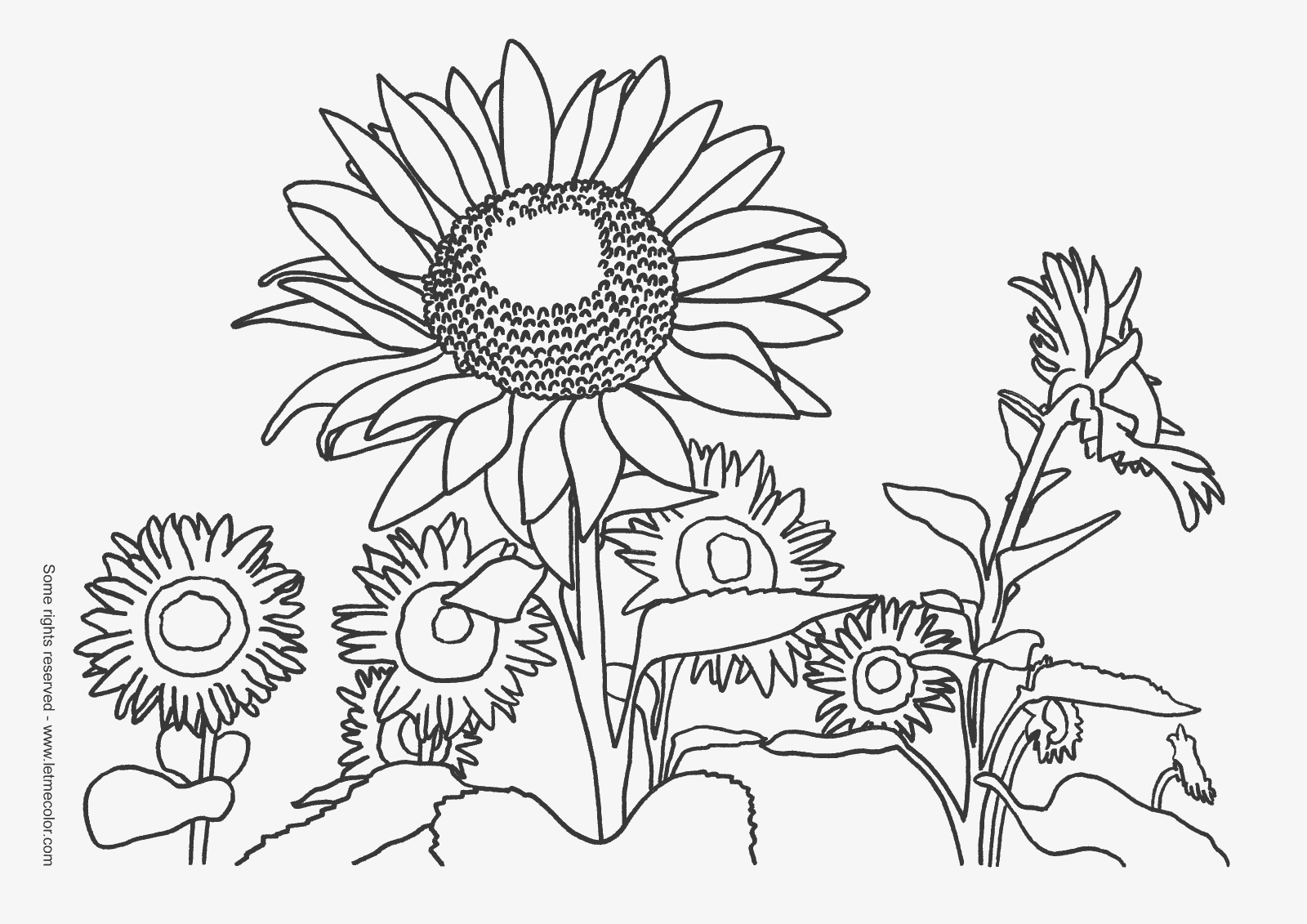 nature coloring pages for girls Clip Art Library