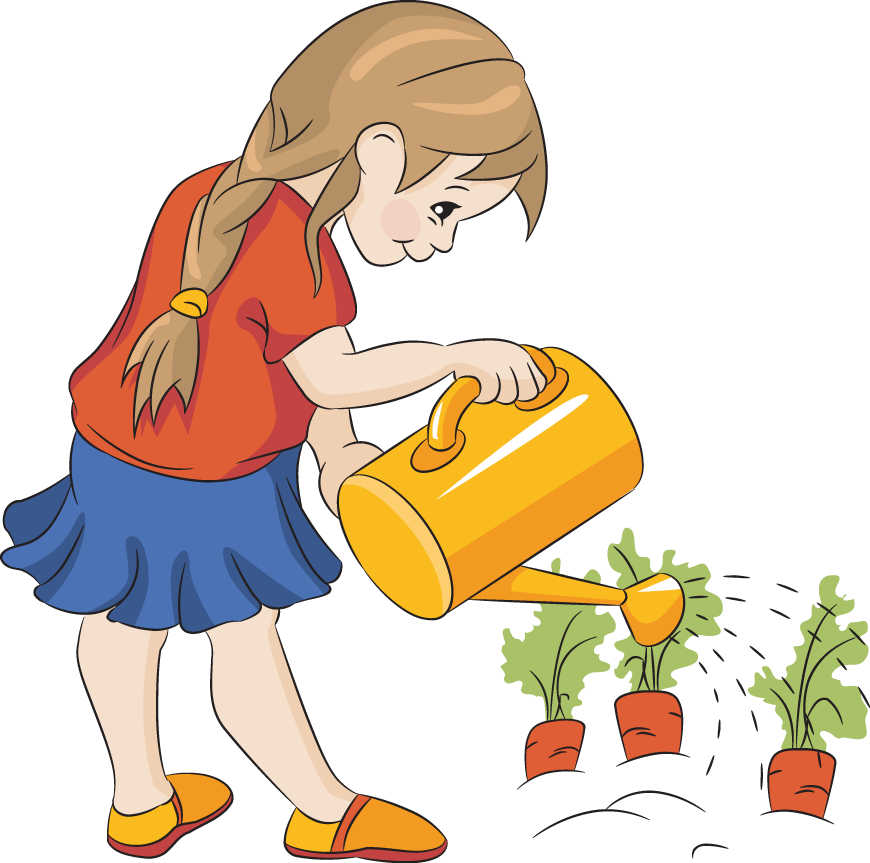 Free Pics Of Carrots, Download Free Pics Of Carrots png images, Free