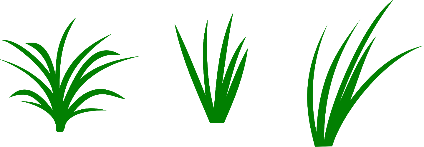 Free Blades Of Grass Png, Download Free Blades Of Grass Png png images