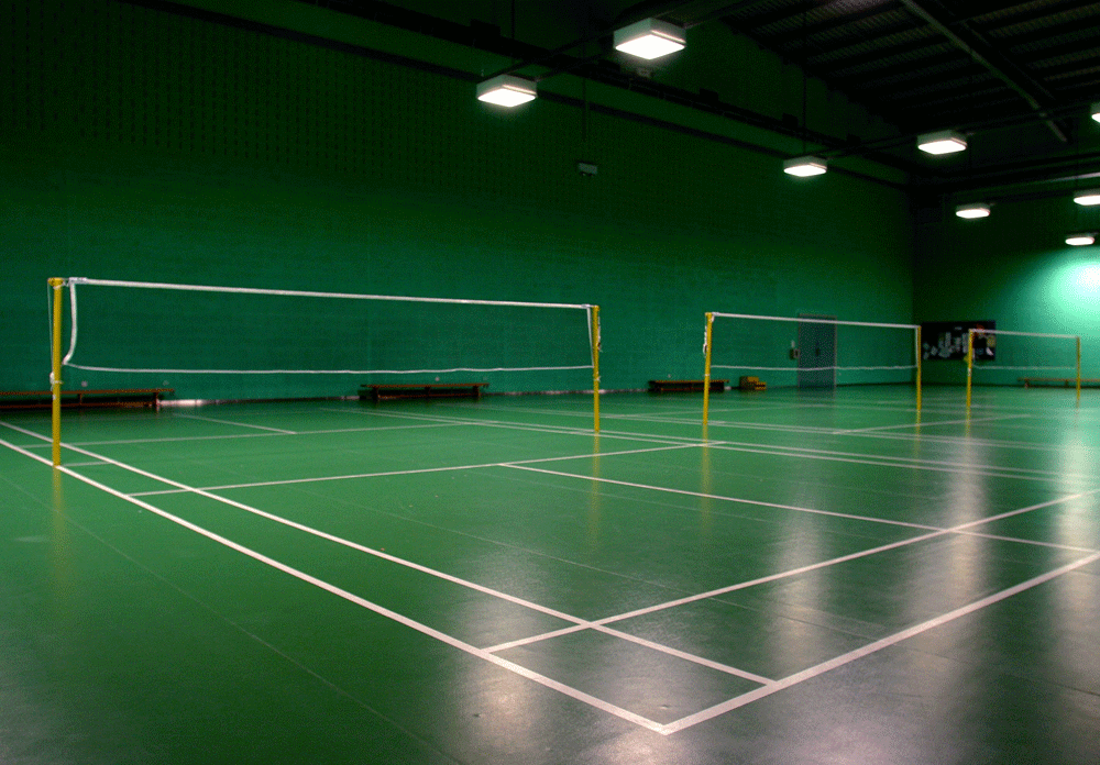Free Badminton, Download Free Badminton png images, Free