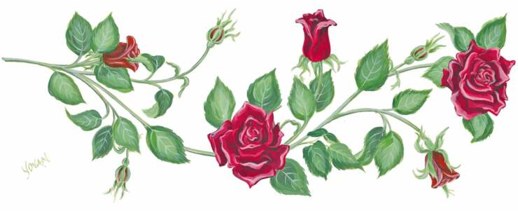 Small Rose Drawing How To Draw A Small Rose Small Easy Drawings How