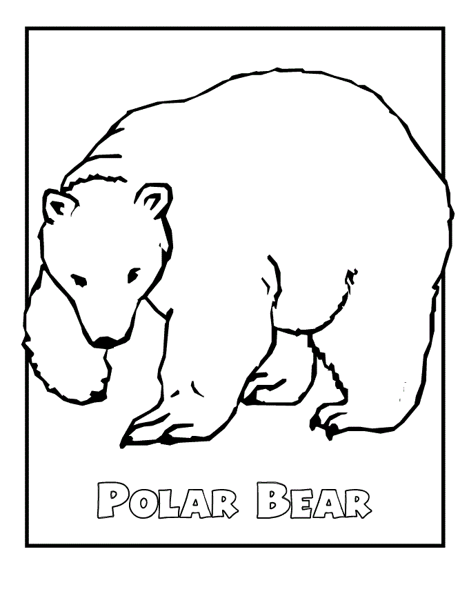 Free Polar Bear Cartoon Images, Download Free Polar Bear Cartoon Images