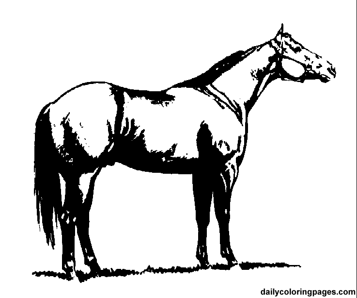 Free Reining Horse Silhouette, Download Free Reining Horse Silhouette