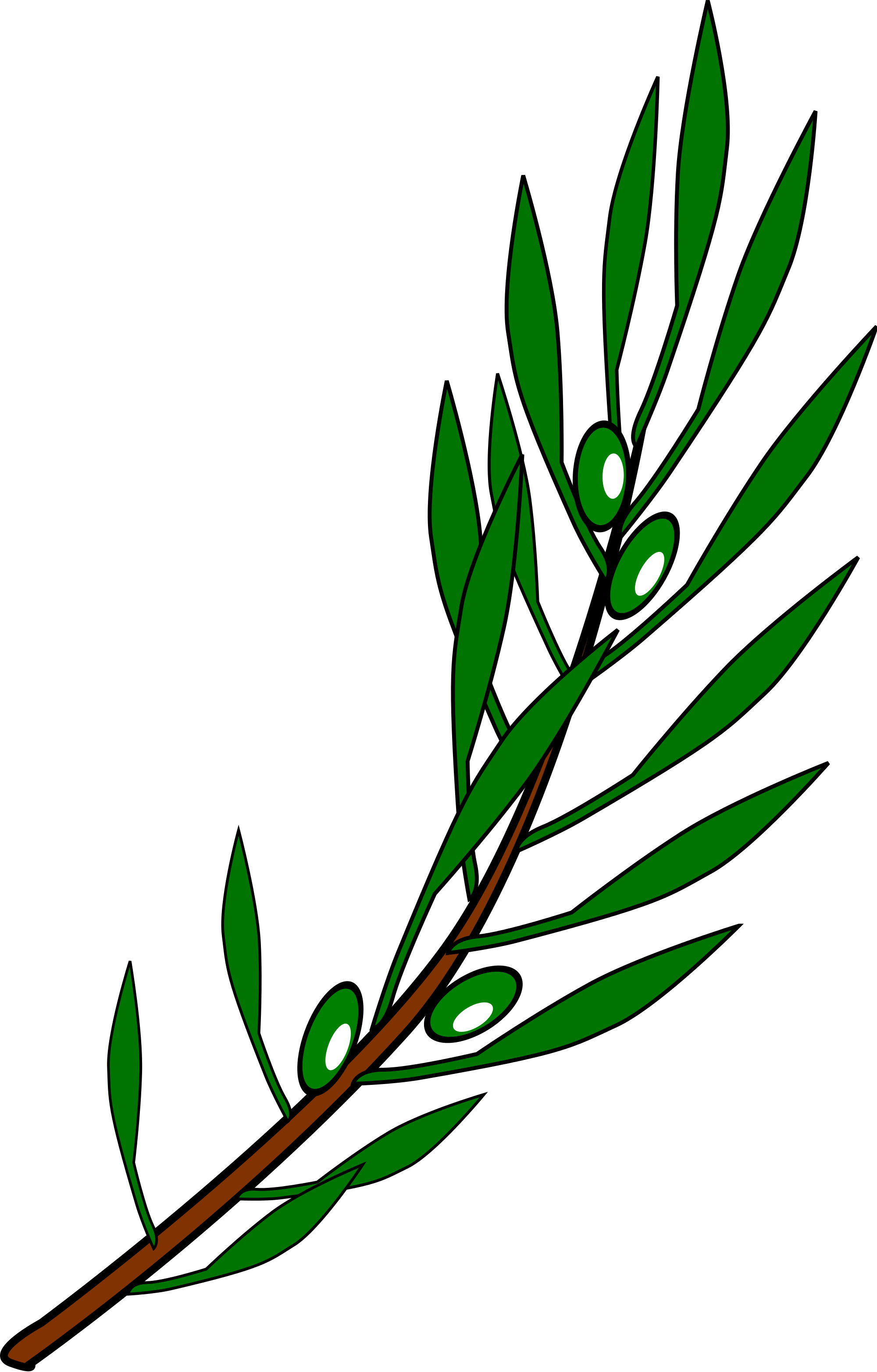 Free Olive Branch, Download Free Olive Branch png images, Free ClipArts