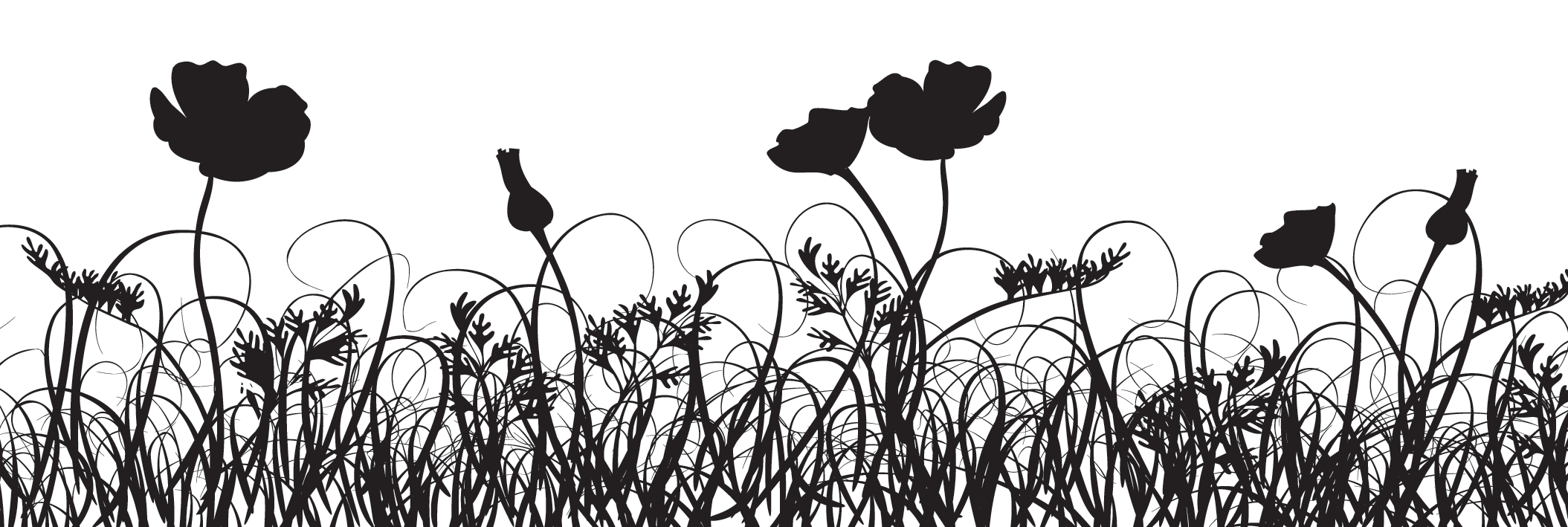 Flower Silhouette Border