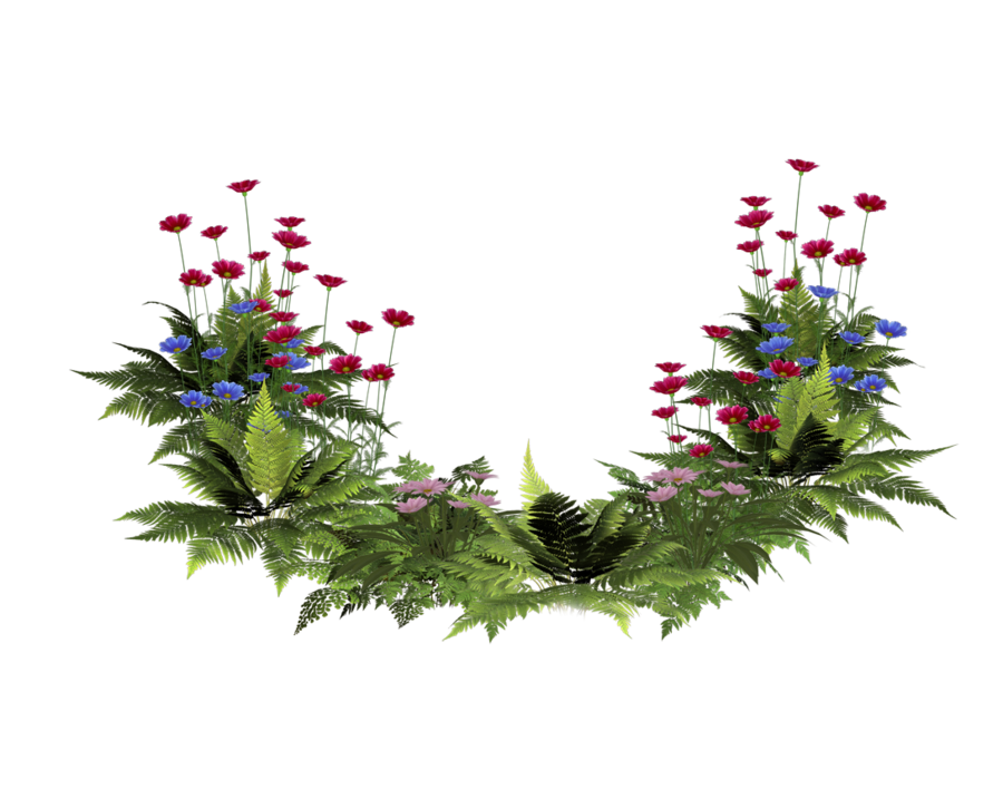 flower plants png transparent Clip Art Library