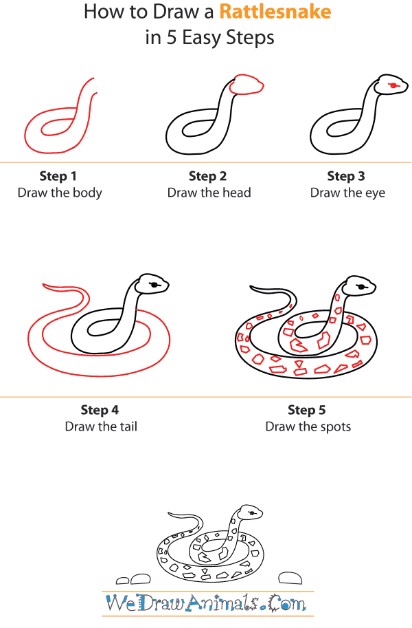 How To Draw A Rattlesnake Free Download Clip Art Free Clip Art on
