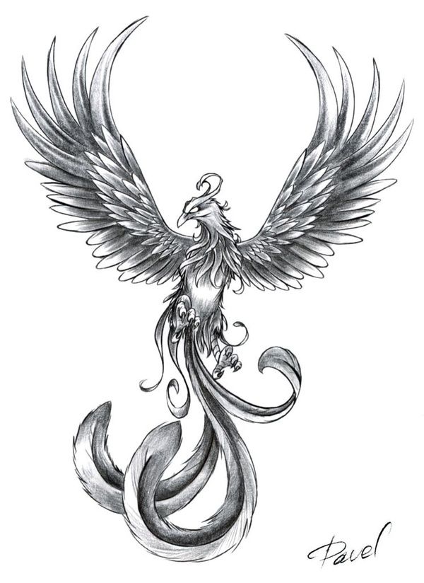 Rising Tattoo Phoenix - Clip Art Library 824_x_600_jpg