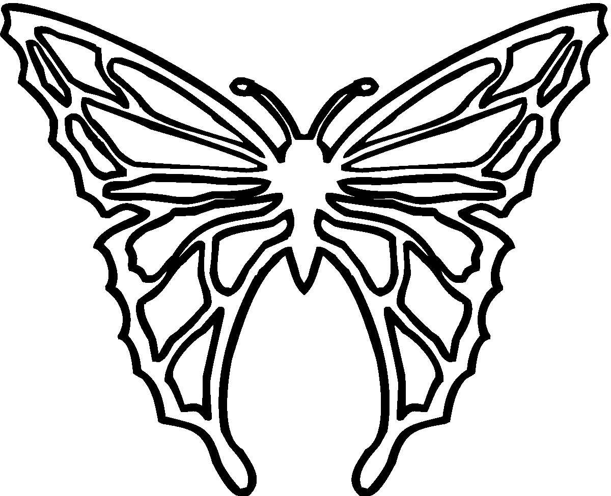 Free Butterfly Wing Outline, Download Free Butterfly Wing Outline png