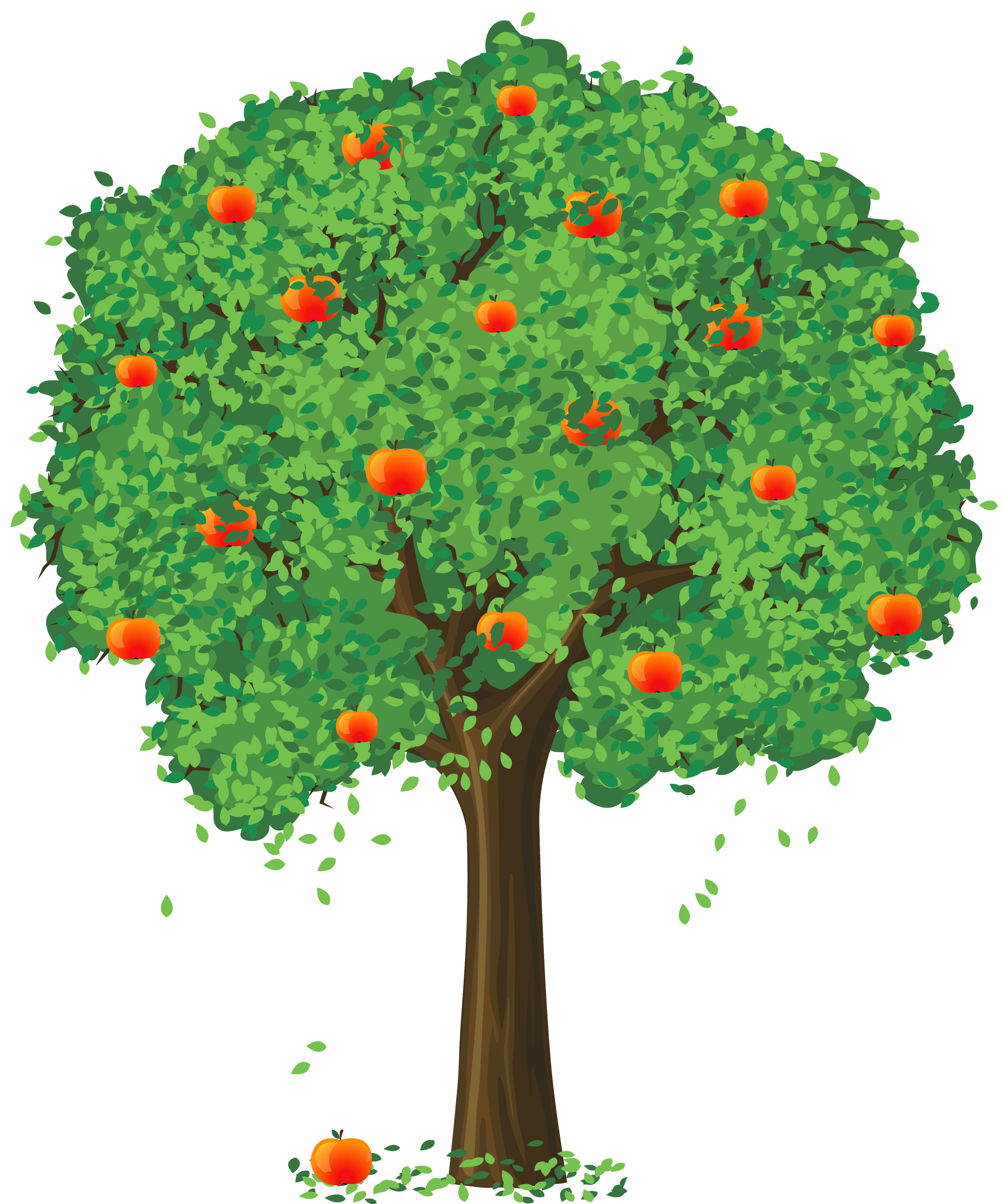 Free Apple Tree Images, Download Free Apple Tree Images png images