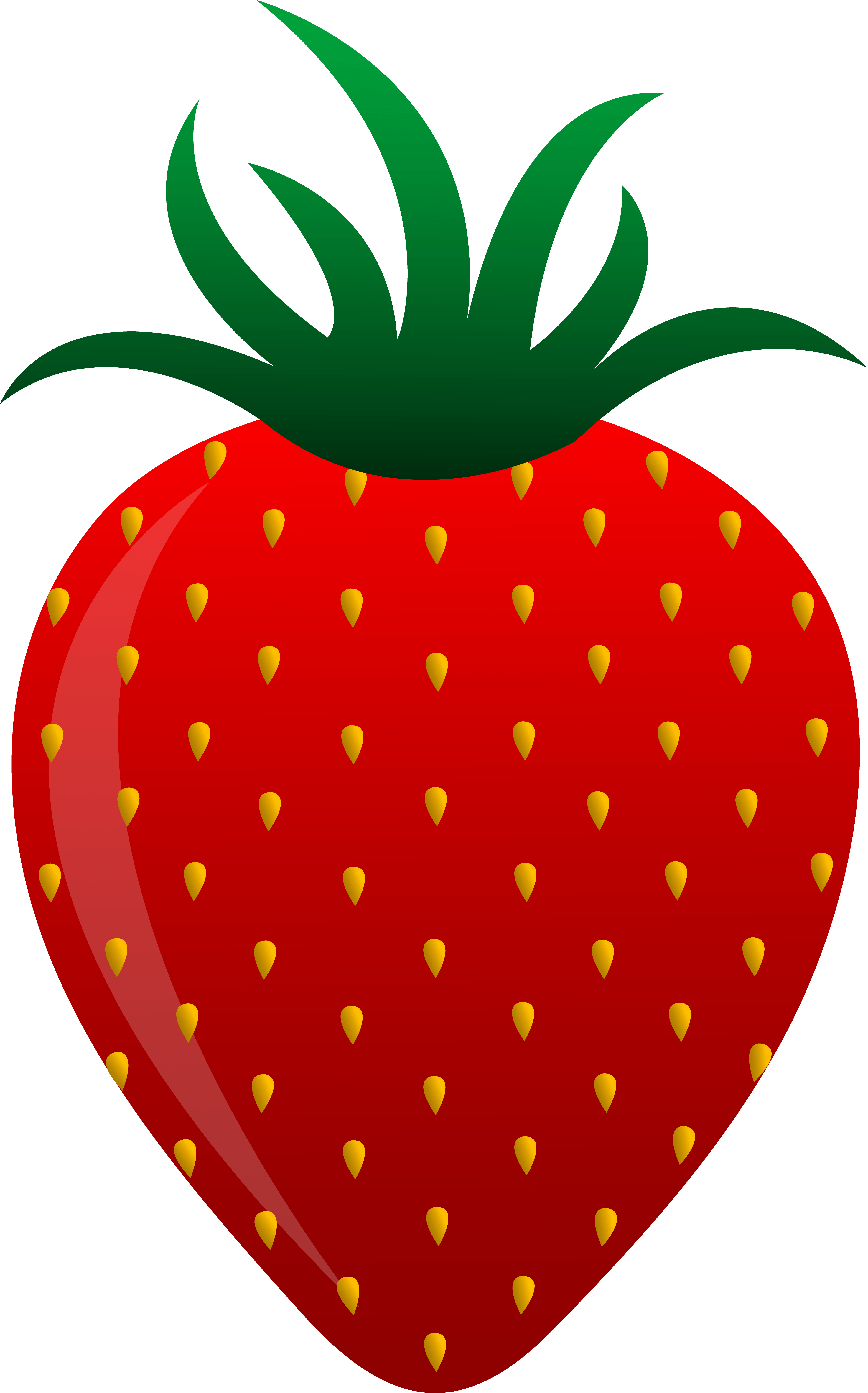 Free Fruit Vector, Download Free Fruit Vector png images, Free ClipArts