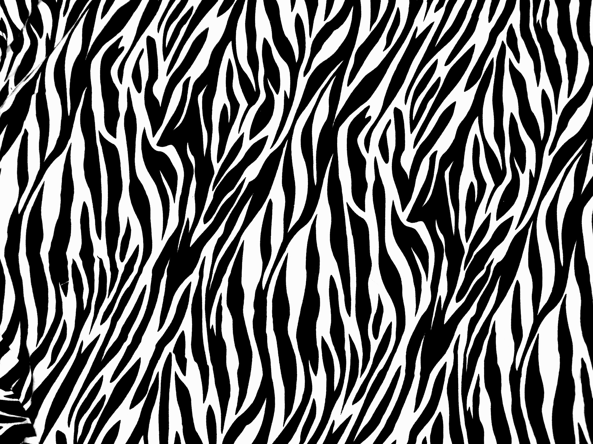 Black And White Tiger Print Clipart