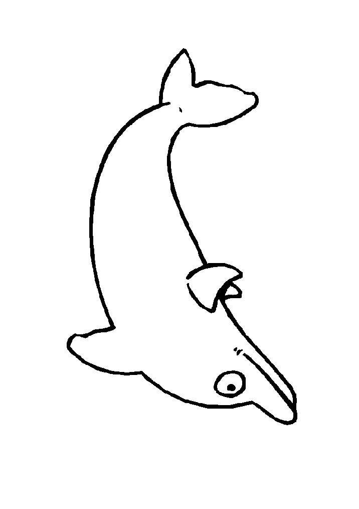 Free Free Dolphin Images, Download Free Free Dolphin Images png images