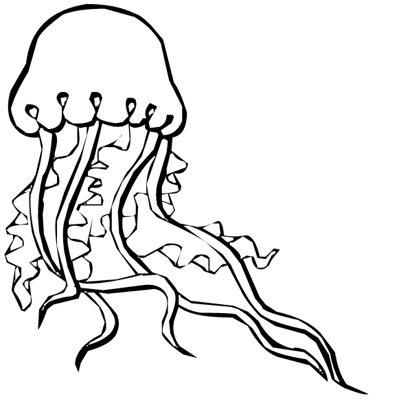 Free Jellyfish Outline, Download Free Jellyfish Outline png images
