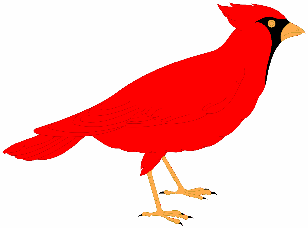 cardinal clip art Clip Art Library