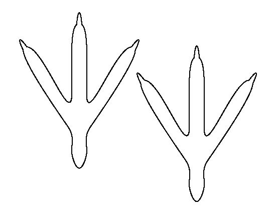 printable chicken feet template #2572723