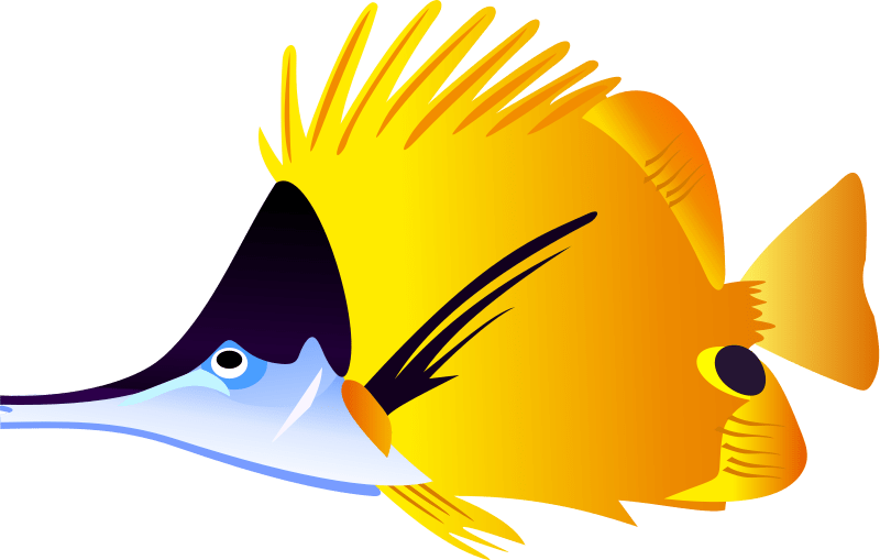 Free Tropical Fish Cliparts, Download Free Tropical Fish Cliparts png