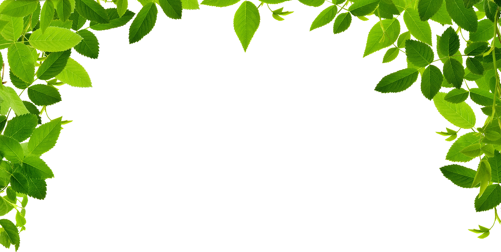 Free Vine Border Transparent, Download Free Vine Border Transparent png