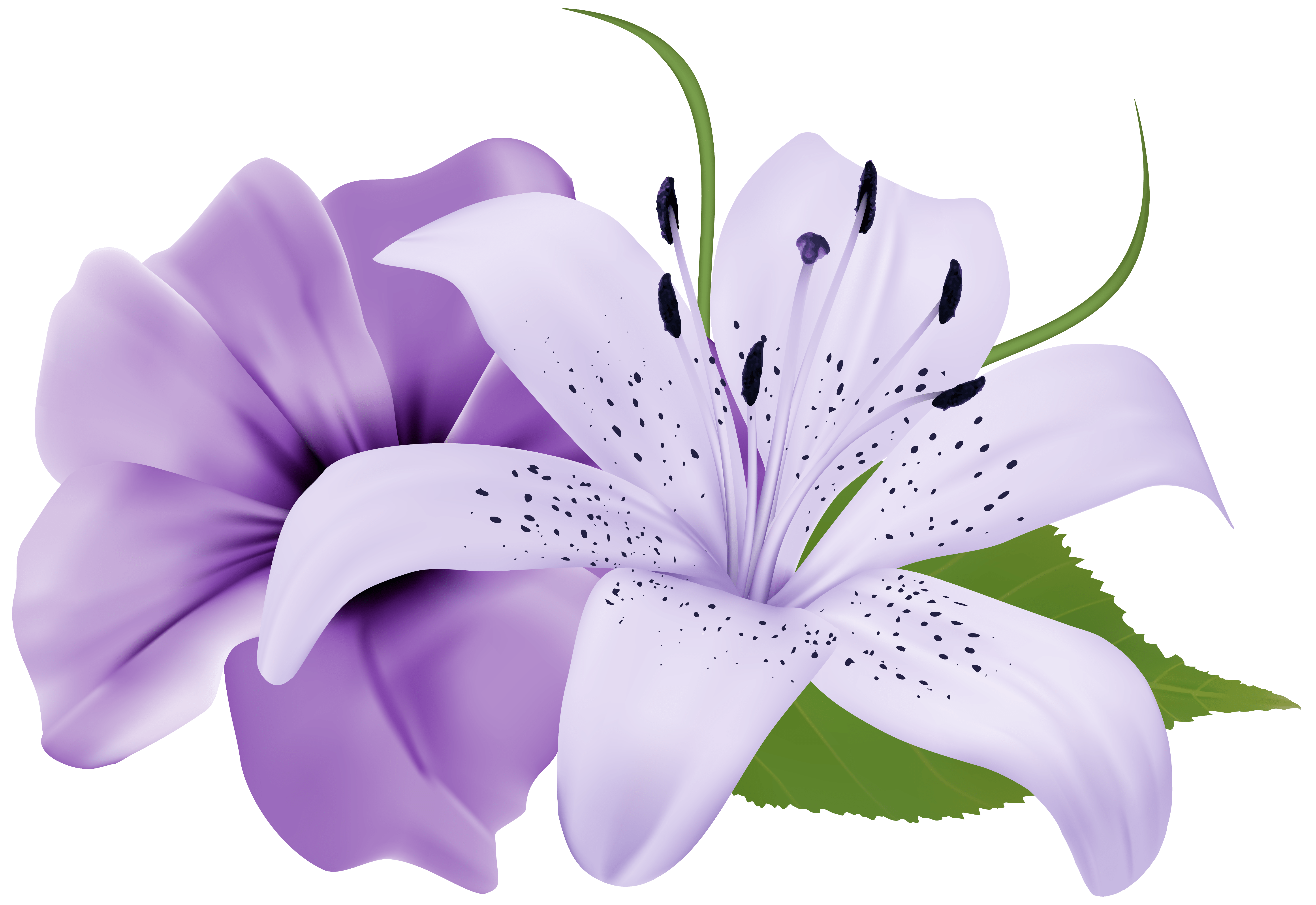 Free Purple Family Cliparts, Download Free Purple Family Cliparts png