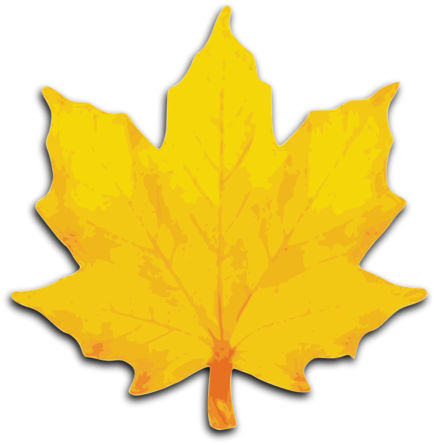 Free Maple Leaf Cliparts, Download Free Maple Leaf Cliparts png images