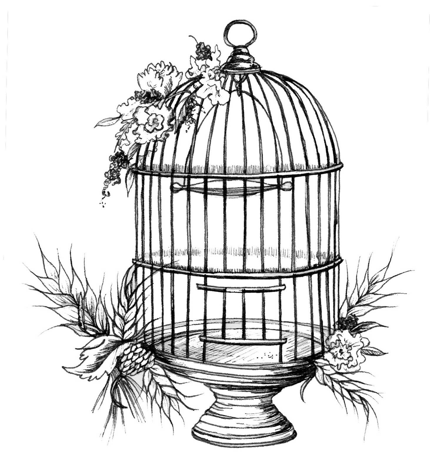 vintage bird cage illustration Clip Art Library