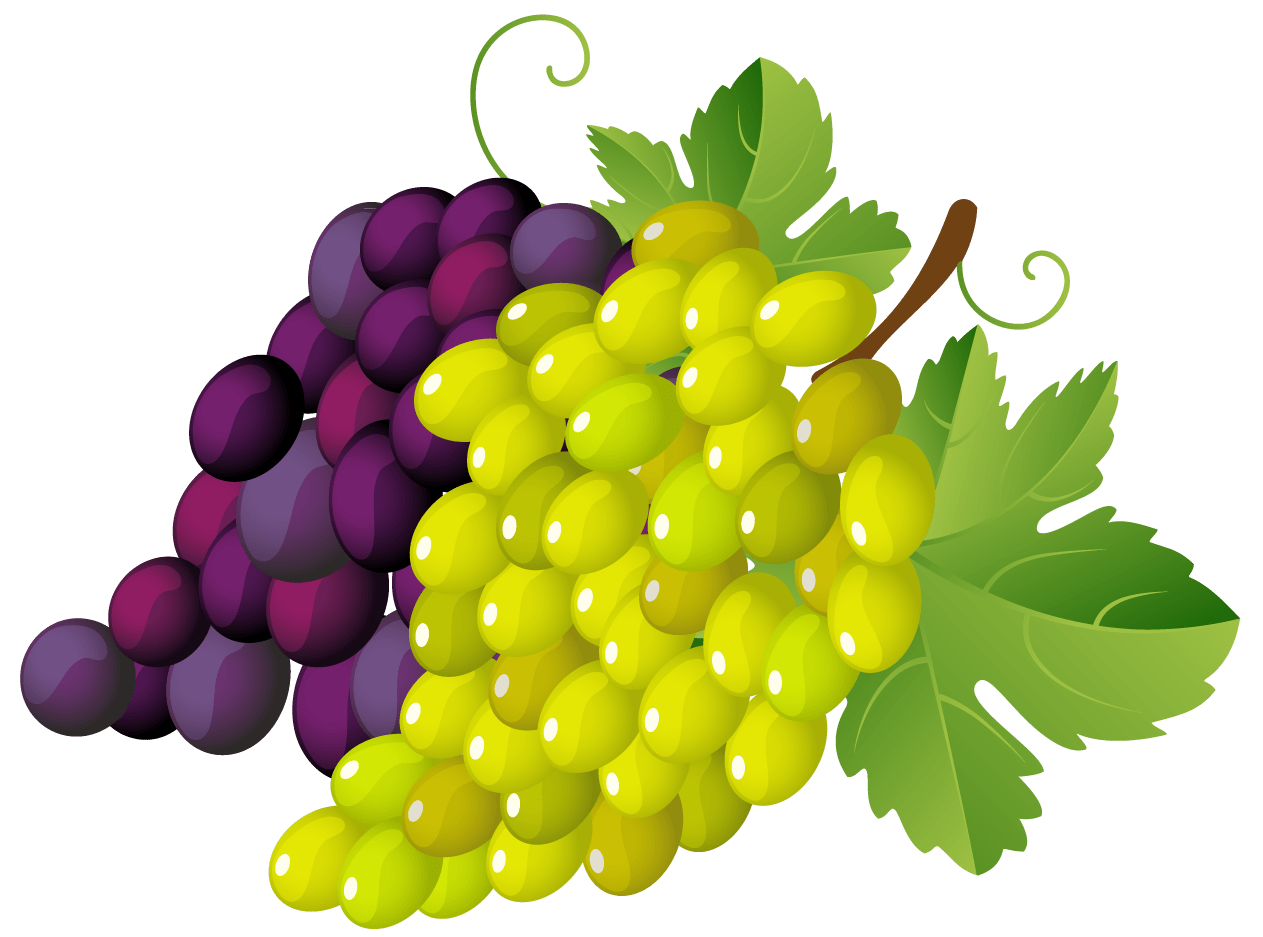 Free Cartoon Grapes Cliparts, Download Free Cartoon Grapes Cliparts png