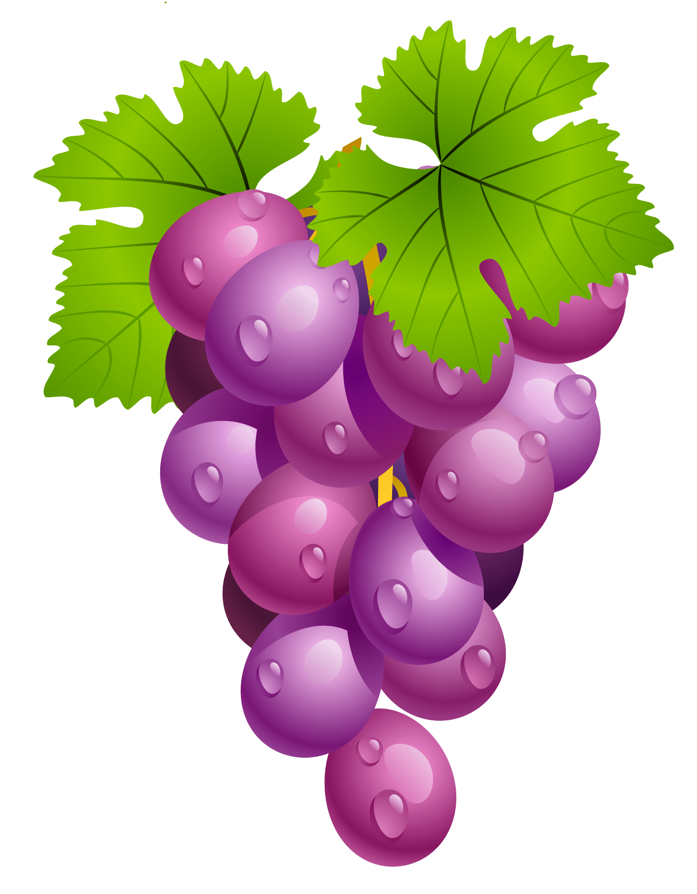 Free Grape Leaf Cliparts, Download Free Grape Leaf Cliparts png images
