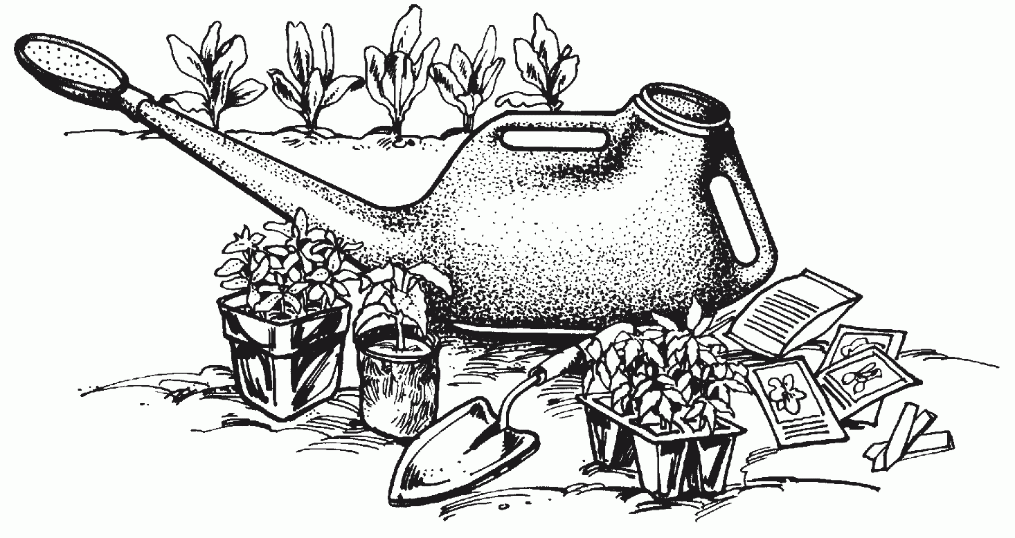 Vegetable Garden Clip Art Black And White