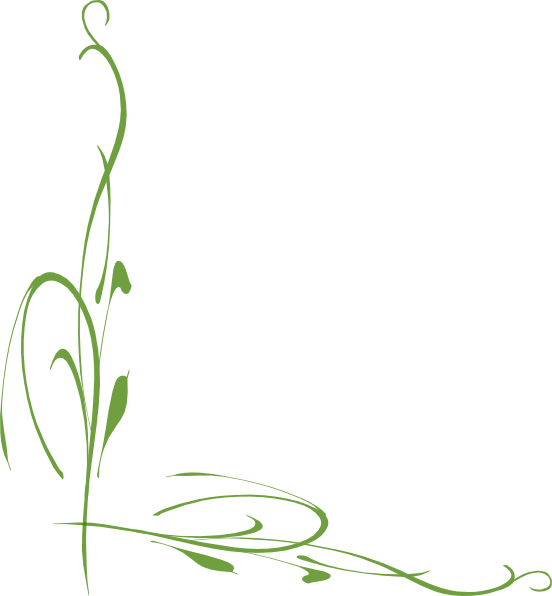 Free Corner Vines Cliparts, Download Free Corner Vines Cliparts png