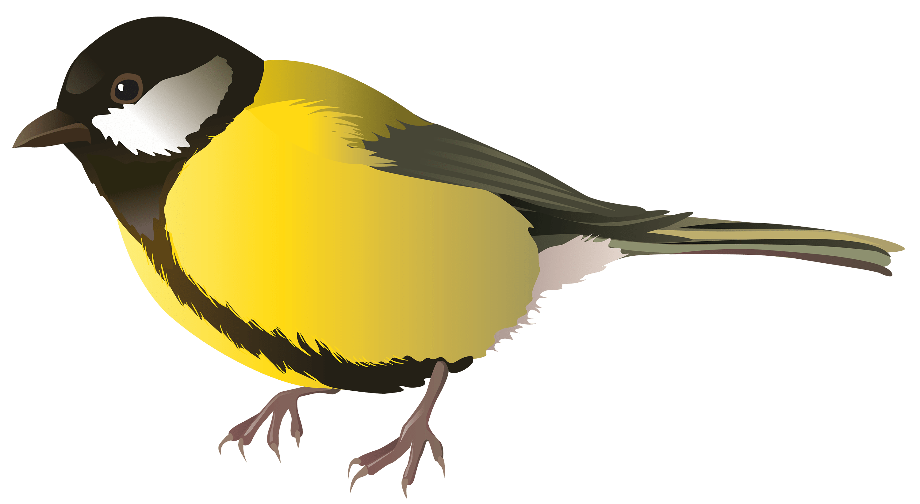 Free Realistic Birds Cliparts, Download Free Realistic Birds Cliparts