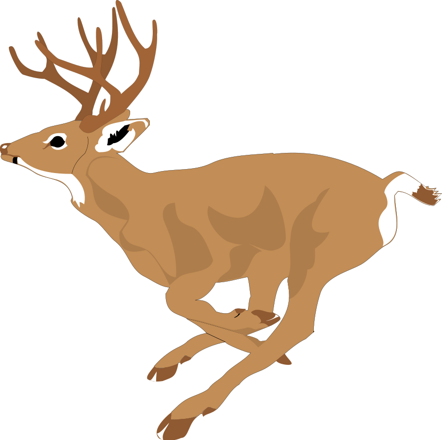 Free Whitetail Deer Cliparts, Download Free Whitetail Deer Cliparts png