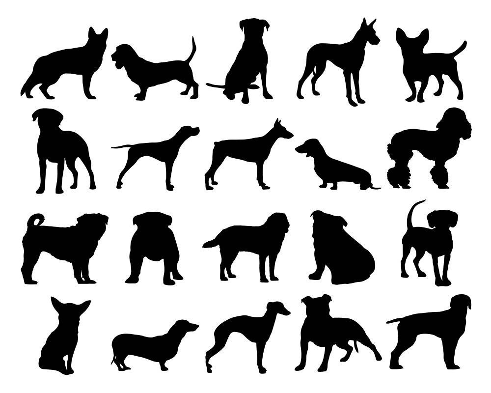 Free Labradoodle Dog Cliparts, Download Free Labradoodle