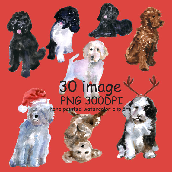 Free Labradoodle Dog Cliparts, Download Free Labradoodle